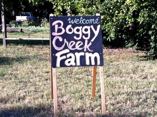 Boggy Creek Farm BBQ